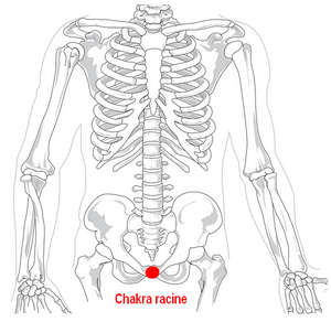 chakra racine sur squelette